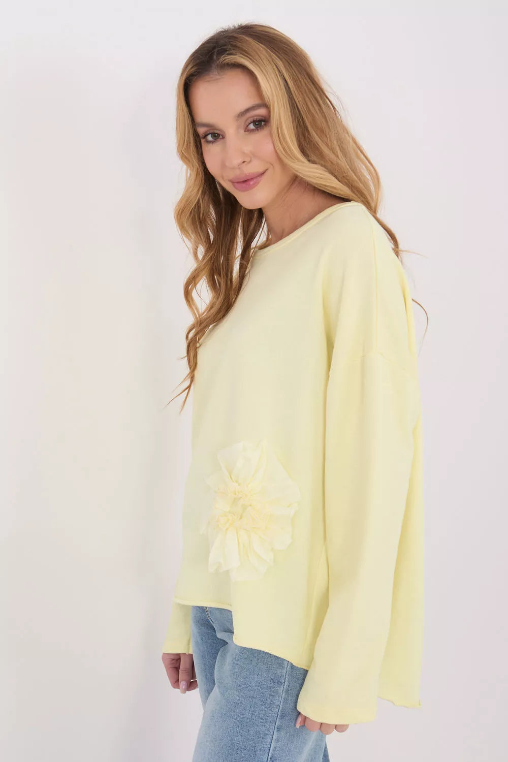 223326 modelis Palaidinė Gamyklinė kaina