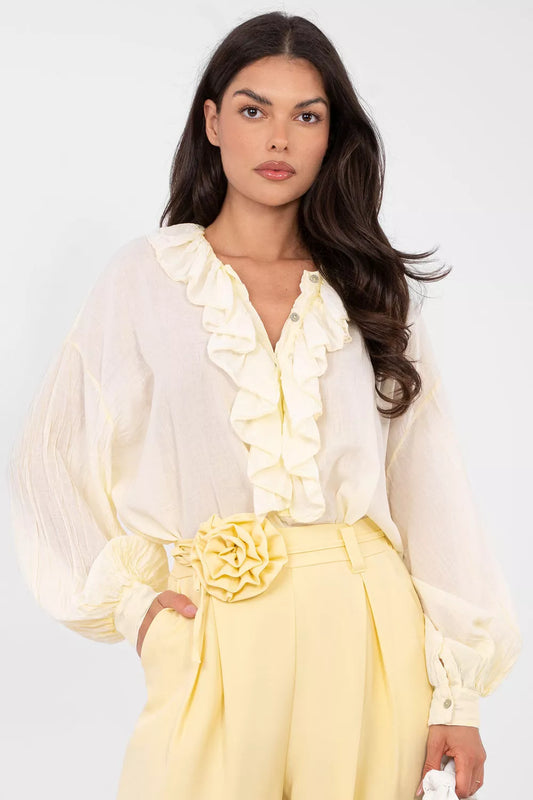 223502 m. modelis Gamyklinė kaina