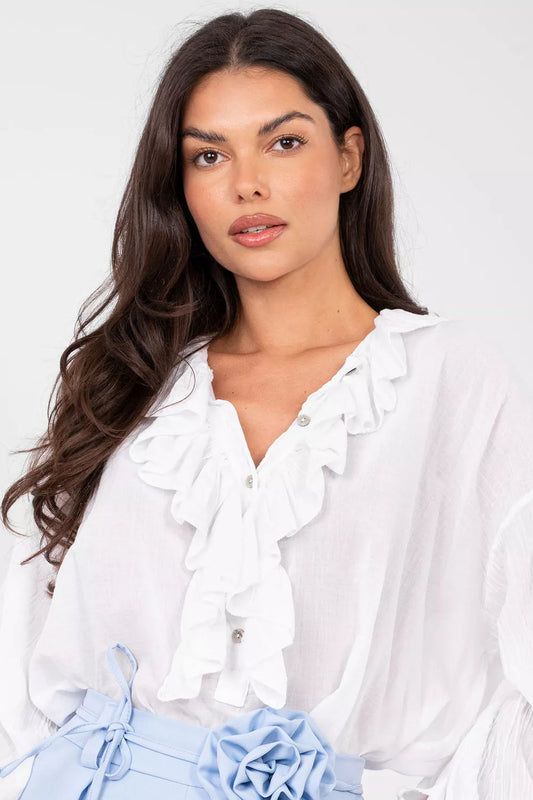 Bliziniu modelis 223503 Gamyklos kaina