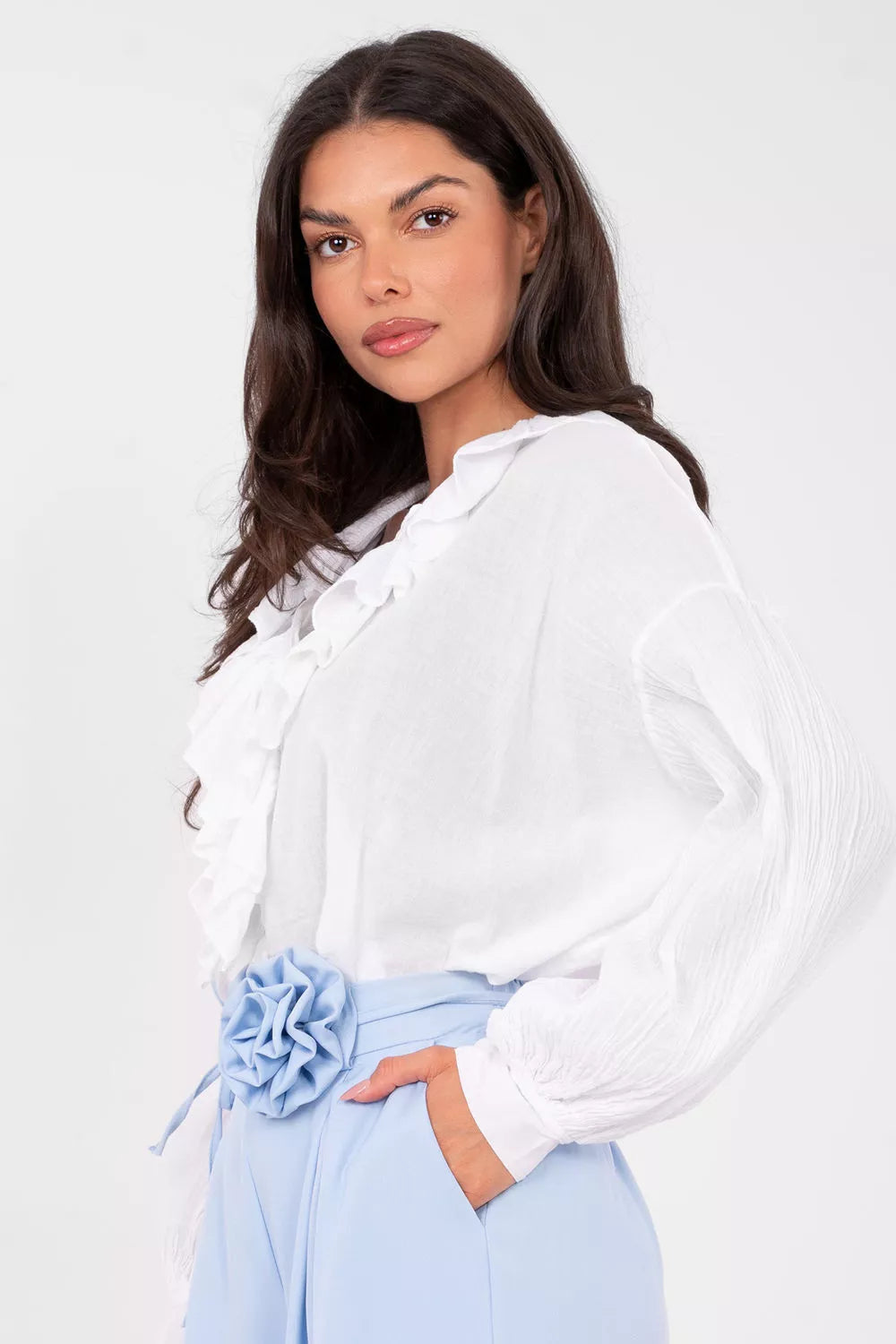 Bliziniu modelis 223503 Gamyklos kaina